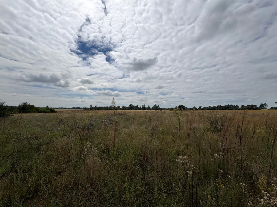 0 Bedroom Property for Sale in Vaalpark Free State